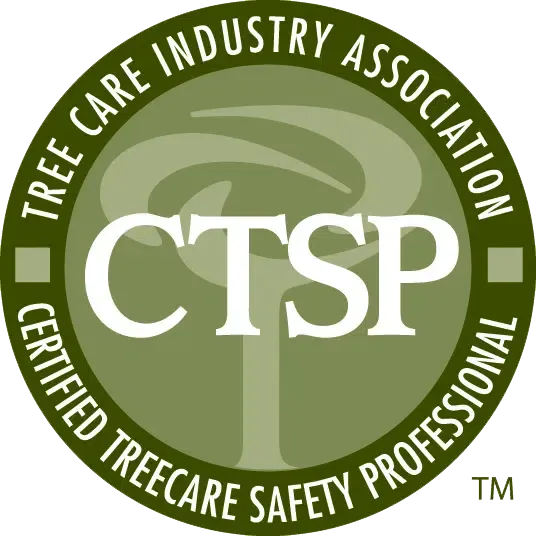 Award badge