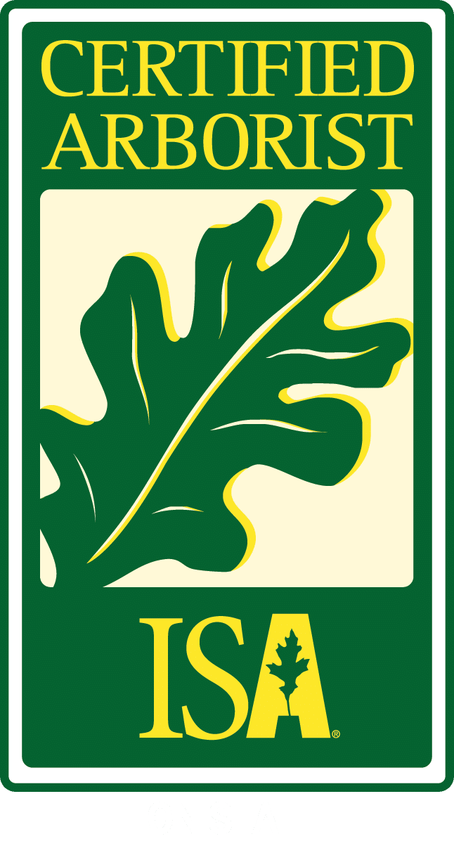 Award badge