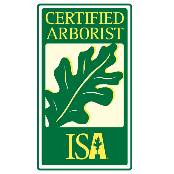 Award badge