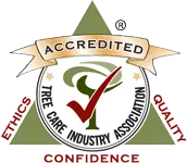 Award badge