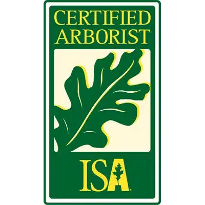 Award badge
