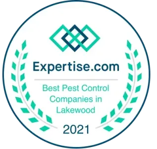 Award badge