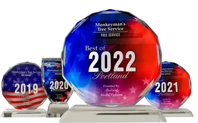 Award badge