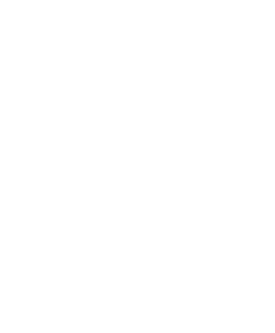 Award badge