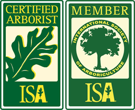 Award badge