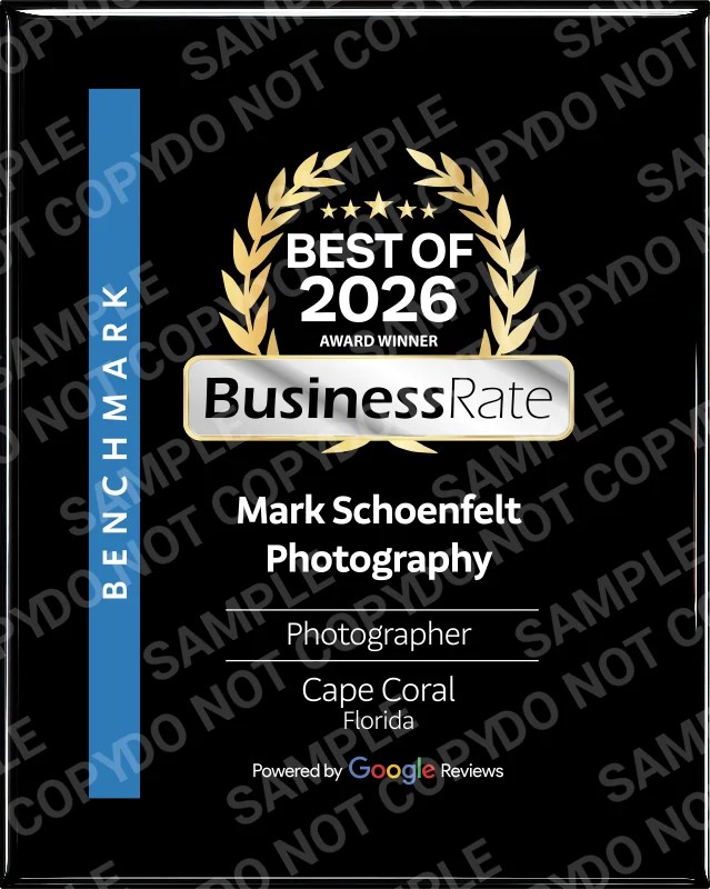 Award badge