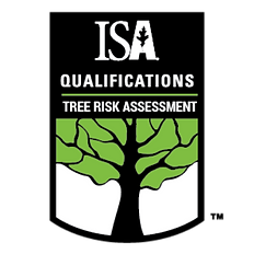 Award badge